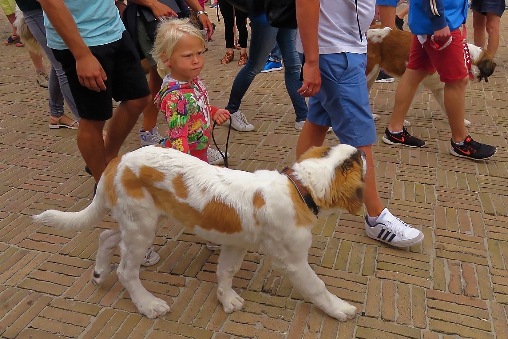 NiPo0816 (32).jpg